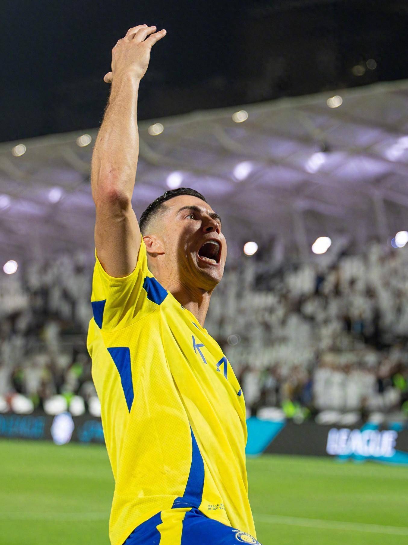 青训项目等 青训项目等